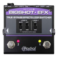 Распределитель гитарного сигнала Radial BigShot EFX