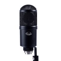 Студийный  микрофон Октава МК-519 футляр