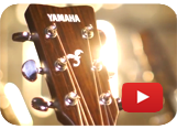 Обзор  акустической гитары Yamaha FG-TA