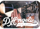 Первое поступление акустических гитар D'Angelico!